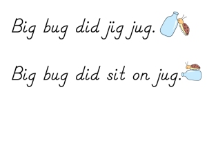 Bug-on-Jug-Sentences-with-pictures