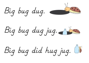 Bug-on-Jug-Sentences-with-pictures2
